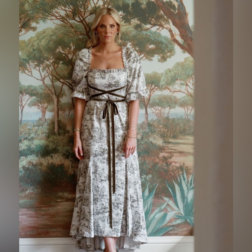 NWT Antonio Melani Nicola Bathie Hallie
 Jacquard Puff Sleeve Tea Gown